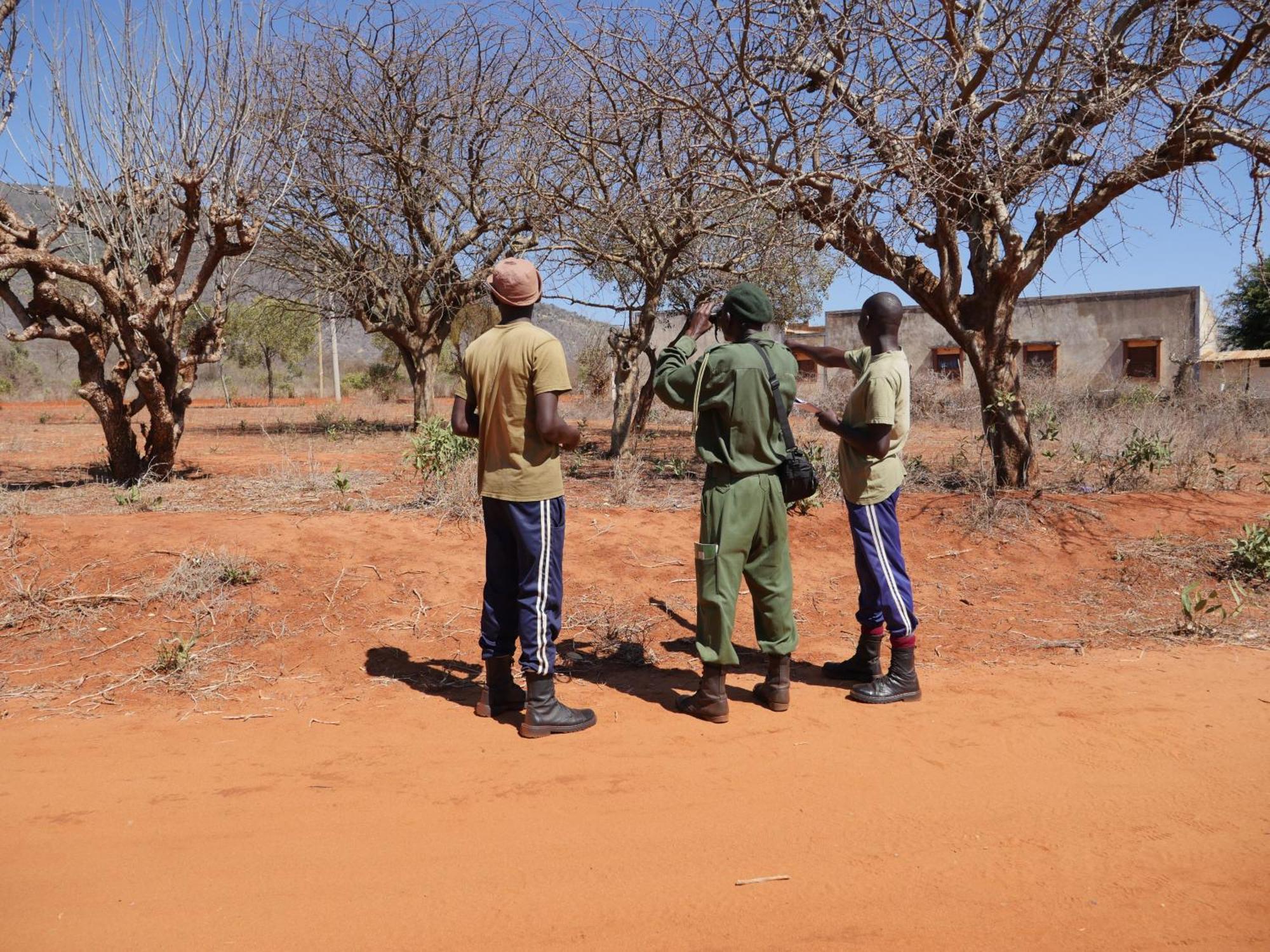 Tausa Tsavo Eco Lodge Voi Exteriér fotografie